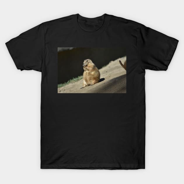 Prairie Dog T-Shirt by MarieDarcy